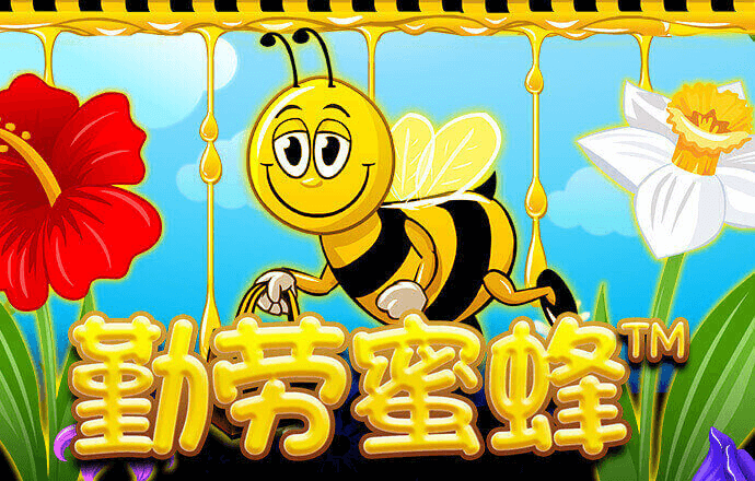 8x8小皇冠国产